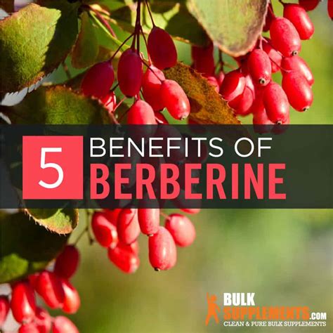 Berberine: Benefits, supplements, side effects, .